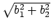 $\sqrt{b_1^2+b_2^2}$