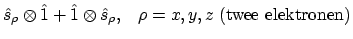 $\displaystyle \hat{s}_\rho \otimes \hat{1} +
\hat{1} \otimes \hat{s}_\rho, \;\;\; \rho=x,y,z \;
\mbox{(twee elektronen)}$