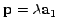${\bf p}= \lambda {\bf a}_1$