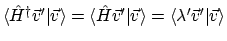 $\textstyle \langle{\hat{H}^\dagger\vec{v}'}\vert{\vec{v}}\rangle
= \langle{\hat{H}\vec{v}'}\vert{\vec{v}}\rangle
= \langle{\lambda'\vec{v}'}\vert{\vec{v}}\rangle$