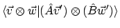 $\displaystyle \langle{\vec{v} \otimes \vec{w}}\vert{(\hat{A}\vec{v}') \otimes (\hat{B}\vec{w}')}\rangle$