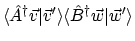 $\displaystyle \langle{\hat{A}^\dagger\vec{v}}\vert{\vec{v}'}\rangle
\langle{\hat{B}^\dagger\vec{w}}\vert{\vec{w}'}\rangle$