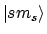 $\vert{s m_s}\rangle$