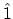 $\hat{1}$