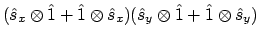 $\displaystyle (\hat{s}_x \otimes \hat{1} + \hat{1} \otimes \hat{s}_x)
(\hat{s}_y \otimes \hat{1} + \hat{1} \otimes \hat{s}_y)$