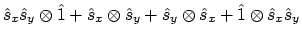 $\displaystyle \hat{s}_x\hat{s}_y \otimes \hat{1}
+ \hat{s}_x \otimes \hat{s}_y
+ \hat{s}_y \otimes \hat{s}_x
+ \hat{1} \otimes \hat{s}_x\hat{s}_y$