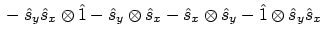 $\displaystyle \mbox{}
- \hat{s}_y\hat{s}_x \otimes \hat{1}
- \hat{s}_y \otimes \hat{s}_x
- \hat{s}_x \otimes \hat{s}_y
- \hat{1} \otimes \hat{s}_y\hat{s}_x$