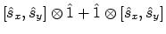 $\displaystyle [\hat{s}_x,\hat{s}_y] \otimes \hat{1}
+ \hat{1} \otimes [\hat{s}_x,\hat{s}_y]$