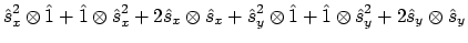 $\displaystyle \hat{s}_x^2 \otimes \hat{1} + \hat{1} \otimes \hat{s}_x^2
+ 2 \ha...
...2 \otimes \hat{1} + \hat{1} \otimes \hat{s}_y^2
+ 2 \hat{s}_y \otimes \hat{s}_y$