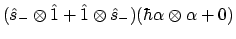 $\displaystyle (\hat{s}_- \otimes \hat{1} + \hat{1} \otimes \hat{s}_-)
(\hbar\alpha \otimes \alpha + 0)$
