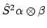 $\hat{S}^2\alpha \otimes \beta$
