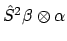 $\hat{S}^2 \beta \otimes \alpha$