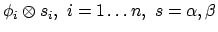$\phi_i \otimes s_i,\ i=1\ldots n,\ s = \alpha,\beta$
