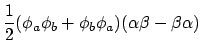 $\displaystyle \frac{1}{2} (\phi_a\phi_b+\phi_b\phi_a)
(\alpha\beta-\beta\alpha)$