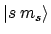 $\vert s \: m_s \rangle$