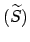 $(\widetilde{S})$