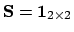 $\mathbf{S} = \mathbf{1}_{2 \times 2}$