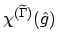 $\displaystyle \chi^{(\widetilde{\Gamma})}(\hat{g})$