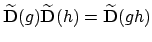 $\widetilde{\mathbf{D}}(g)\widetilde{\mathbf{D}}(h) = \widetilde{\mathbf{D}}(gh)$