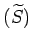 $(\widetilde{S})$