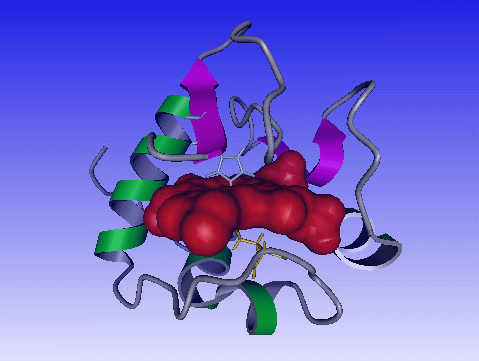 ------------------------------