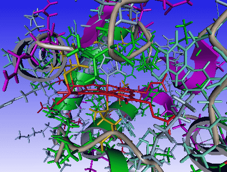 ------------------------------