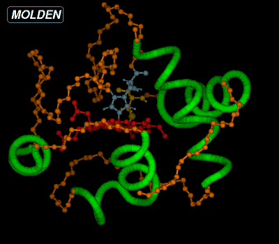 ------------------------------