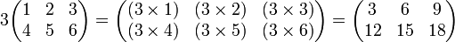 3 \begin{pmatrix}
1 & 2 & 3 \\
4 & 5 & 6
\end{pmatrix} = \begin{pmatrix}
(3 \times 1) & (3 \times 2) & (3 \times 3) \\
(3 \times 4) & (3 \times 5) & (3 \times 6)
\end{pmatrix} = \begin{pmatrix}
3 & 6 & 9 \\
12 & 15 & 18
\end{pmatrix}