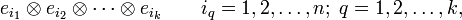 
e_{i_1}\otimes e_{i_2}\otimes \cdots \otimes e_{i_k} \qquad i_q =1,2,\ldots,n; \; q=1,2, \ldots, k,
