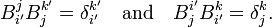 
B^{j}_{i'} B_{j}^{k'} = \delta_{i'}^{k'}\quad \hbox{and}\quad B^{i'}_{j}B_{i'}^{k} = \delta_{j}^{k}.
