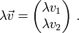 \lambda\vec{v}=\begin{pmatrix} \lambda v_1 \\ \lambda v_2 \end{pmatrix}\ .