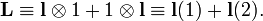  \mathbf{L} \equiv  \mathbf{l}\otimes 1 + 1\otimes \mathbf{l} \equiv \mathbf{l}(1)+  \mathbf{l}(2). 